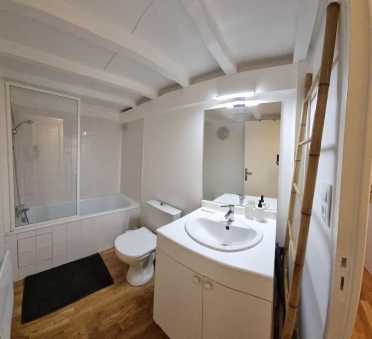 T2 Charmant - Hypercentre - Quai De Garonne - Wifi Apartment Toulouse Exterior photo